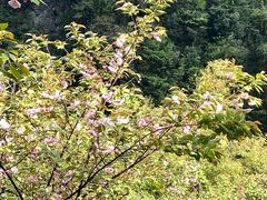 -华蓥山天意谷景区