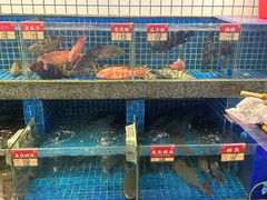-飞尝蚝·顺德菜·鱼生(顺德总店)