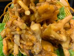 鸡油菌-菌海森林·非遗野生菌火锅(西山区滇池路摩根道店)
