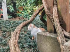 -龙华寺