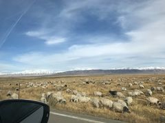 -青海湖国家重点风景名胜区