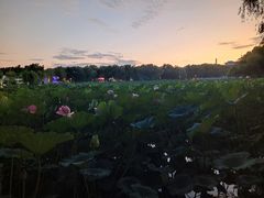 -长春市南湖公园