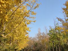 -康庄公园