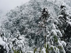 -九峰山