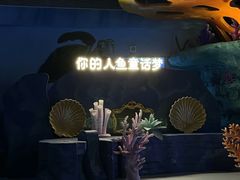 -上海海昌海洋公园