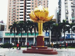 -金莲花广场