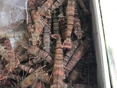 -斌记海鲜加工(十四涌店)