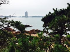 -大邱大包