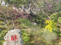 -上海醉白池公园