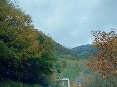 -白草畔自然风景区