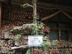 -呀路古热带植物园