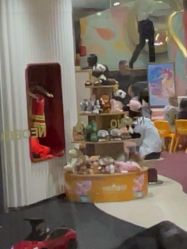 -奈尔宝·国风主题儿童乐园·亲子餐厅(豫园商城店)