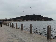 -烟墩角天鹅湖