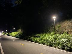 -紫金山山顶公园