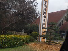 -铁山坪森林公园