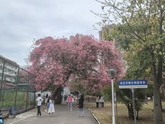 -抱德·潮汕味(敦和店原惠城鱼仔)