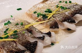 Premium Freshwater White Knife Fish