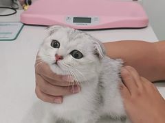 -佳雯宠物医院(四明中路分院)