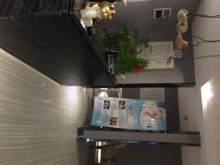 点击看大图 唯伊美专业女子瘦身连锁机构(徐汇店)-唯伊美塑身美养连锁