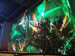 -蕉棠·鸽子餐厅(柳州万象城店)