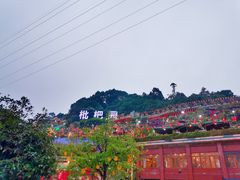 -枇杷园食为鲜火锅(南山店)