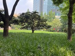 -静安公园(静安寺街道)