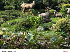 -杭州植物园