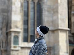-斯蒂芬主教座堂(Stephansdom)