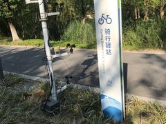 -昆山城市生态森林公园