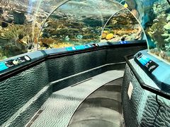 -上海海洋水族馆