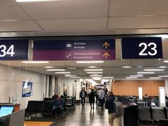 -蒙特利尔皮埃尔·埃利奥特·特鲁多国际机场