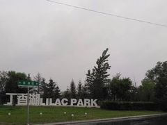 -丁香湖公园