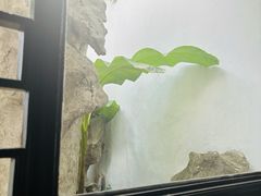 -AK47烤羊腿串吧(柳浪家园店)