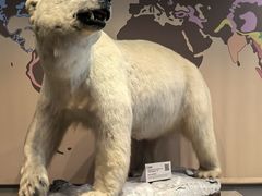 -Behring World of Animals(上海自然博物馆店)