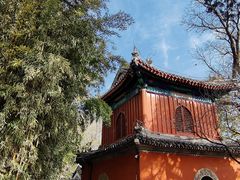 -大觉寺-停车场
