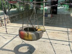 -苏州太湖西山岛开心农场