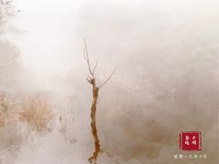 -少华山国家森林公园