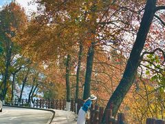 -广州市石门国家森林公园