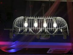-樱花里音乐餐吧·牛扒椰子鸡(东圃店)