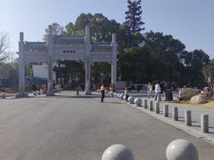 -东湖落雁景区