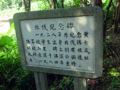 -长洲岛