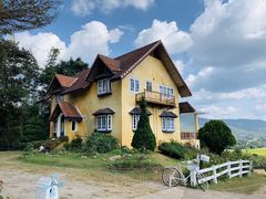 -黄色小屋