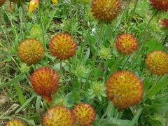 -水韵湾生态农庄