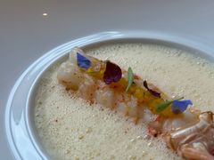 LARGE&nbsp;LANGOUSTINE-Epicure