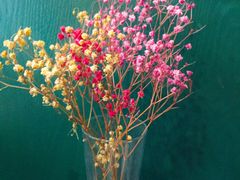 -西西弗书店(城西银泰城店)