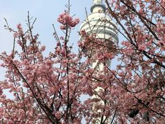 -龟山风景区-龟山电视塔