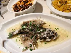 -席家花园(巨鹿花园店)