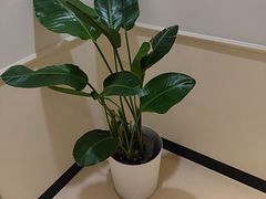 -观心实验室·心理咨询(徐汇店)