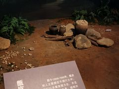 -广西壮族自治区博物馆