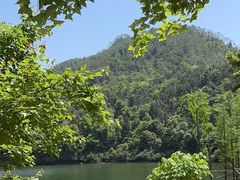 -广州市石门国家森林公园